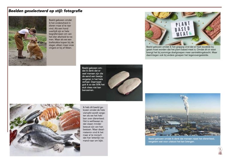 Beeldonderzoek 3 Vormgeving Hein de Haan